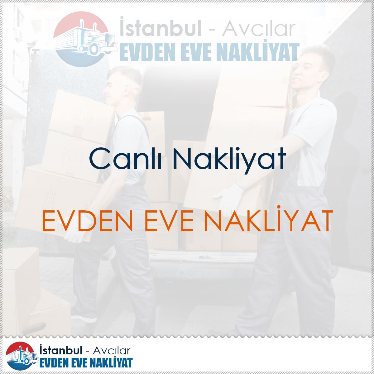 Canlı Nakliyat : Kapak Görseli